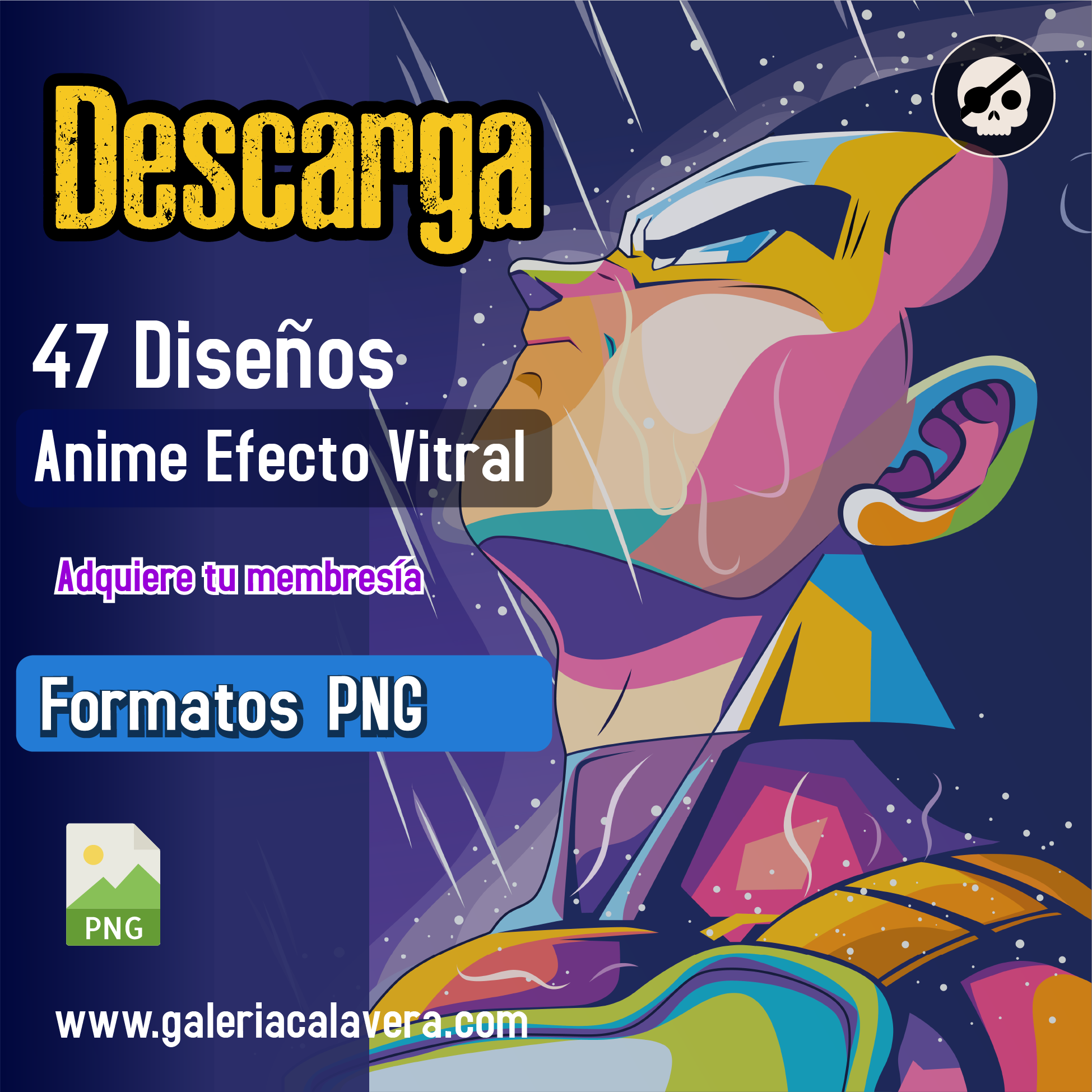 Descripción de la imagen