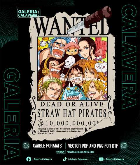 One Piece Wanted Vector