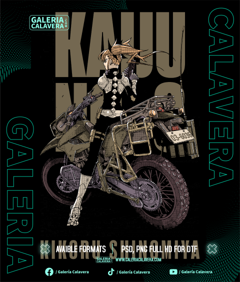 Kikoru Shinomiya File