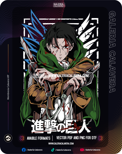 Levi EX Design