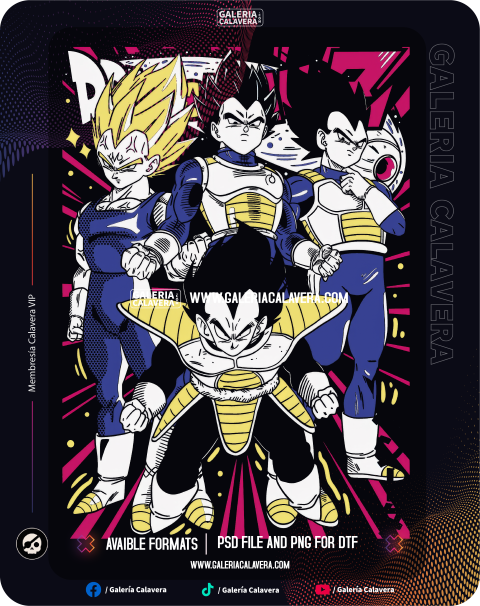 Vegeta Reducted DB