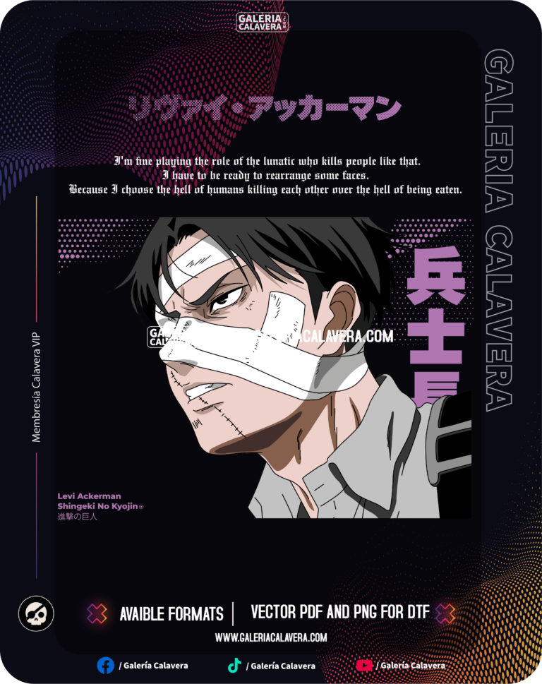Levi Vendas Animeins