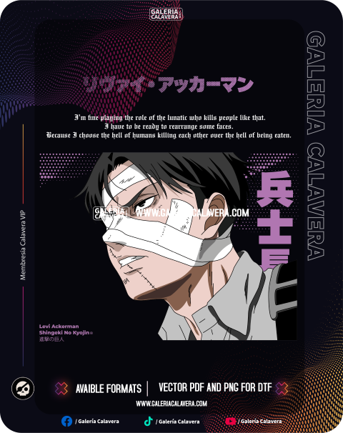 Levi Basic Color