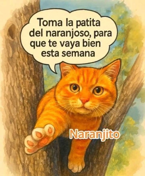 Descripción de la imagen
