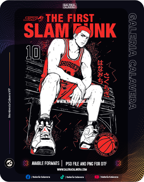 Anime Slam Dunk Reducted