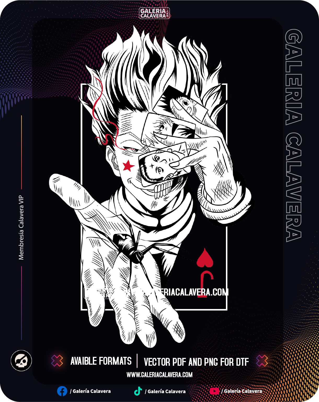 Hisoka 2 Colores